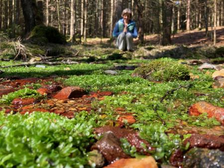 2. nagrada-21.63.Ob izviru zˇivljenja